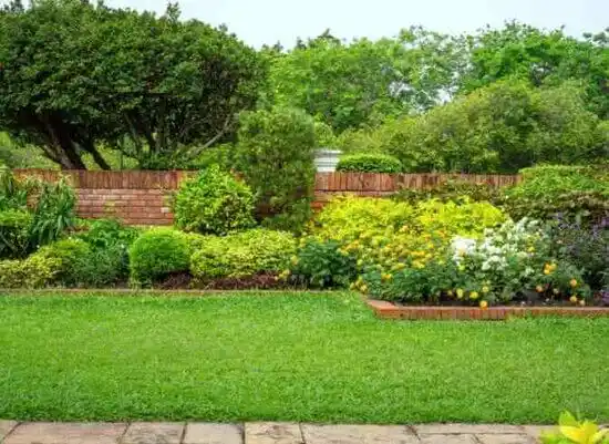 landscaping services Middlebush